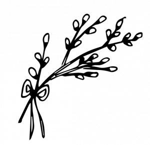 noun_willow_2316791